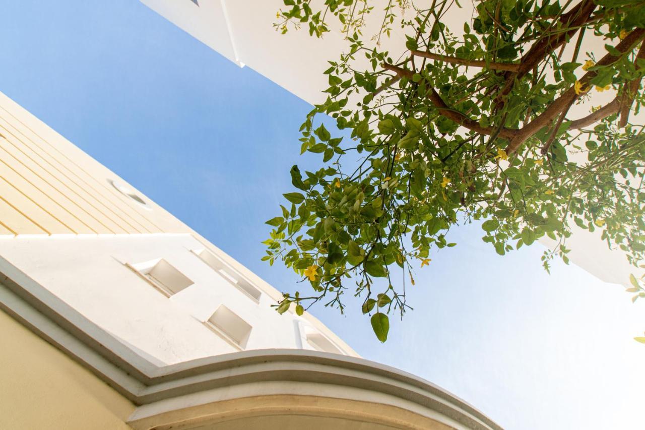 Diamante Beachfront Suites Xylokastro Exterior photo